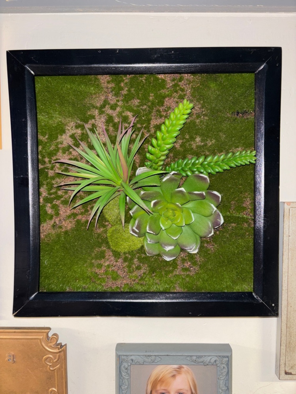 Framed Green Succulent Moss Wall Art - Decorative Plant Plaque